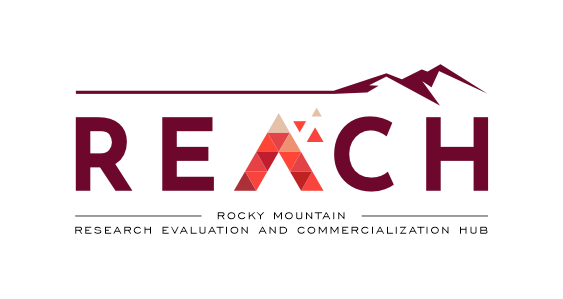 MTIP: reach_logo_trans